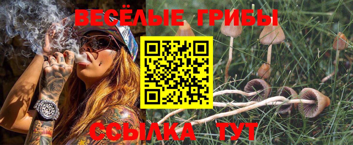 Ростов Великий  что такое наркотик  Псилоцибиновые грибы мицелий  Вход с VPN  Галлюциногенные грибы Cubensis 